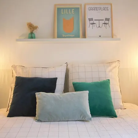 Old Town With View Lille